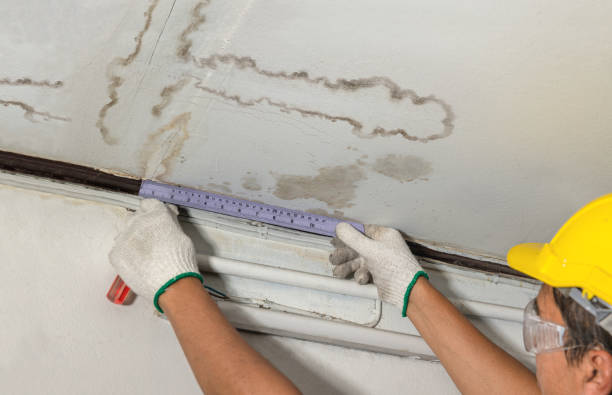 Reliable Basement Water Removal contractor in Springfield, MO by Water Damage Irwin